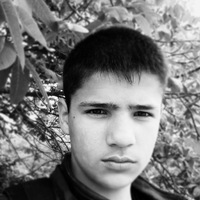 Коля Литвин