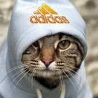 Данил Мисюренко