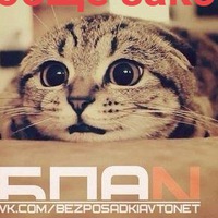 Макс Шперлинг