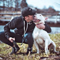 Артём Ростовский