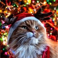 Данил Ракса