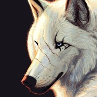 Алексей Волк