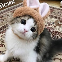 Тимур Рожков