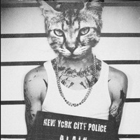 Артем Алексеевич