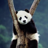 Никита Пупкин